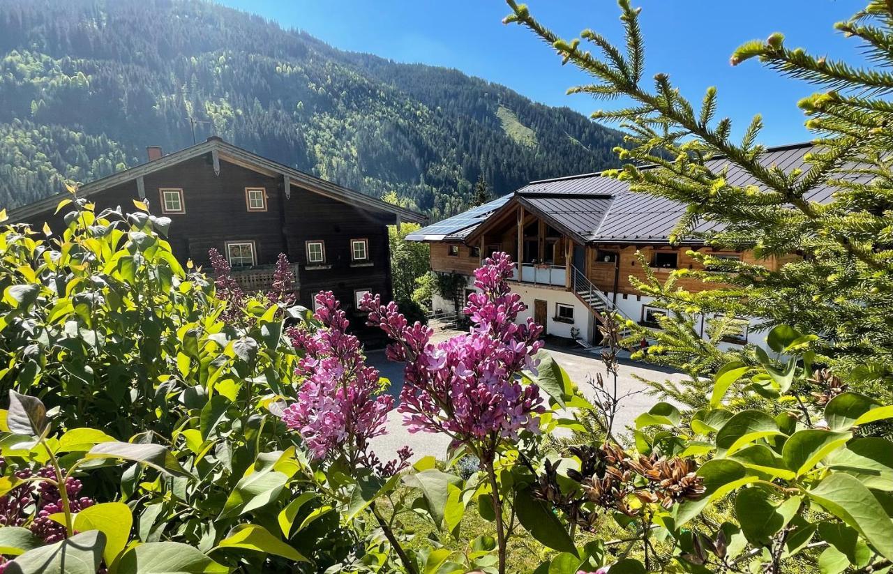 Апартаменты Arlerhof Унтертауэрн Экстерьер фото
